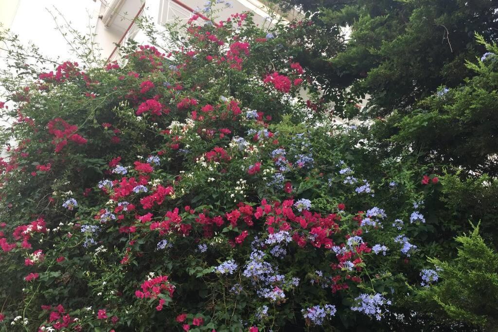 Two Bedroom Near Alimos Marina ! Athens
